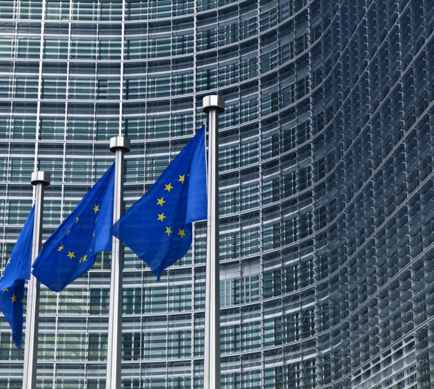 EU flags outside a large building