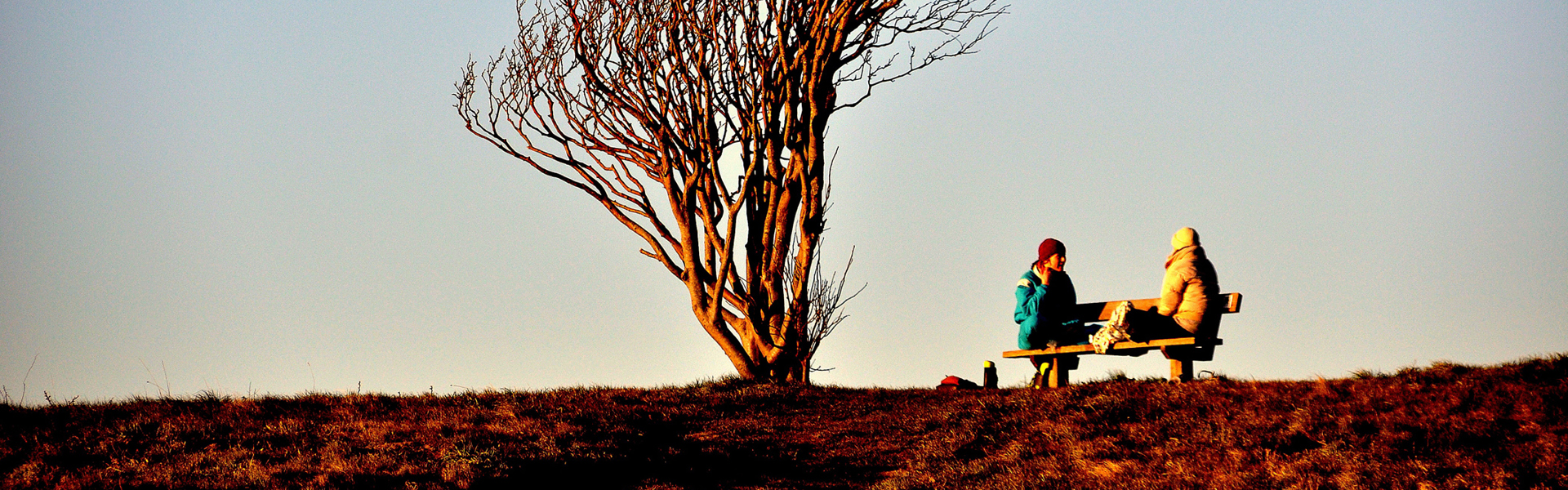 People sitting on a bench in the sun